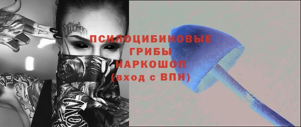 ПСИЛОЦИБИНОВЫЕ ГРИБЫ Алексин