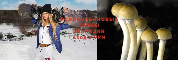 ПСИЛОЦИБИНОВЫЕ ГРИБЫ Алексин