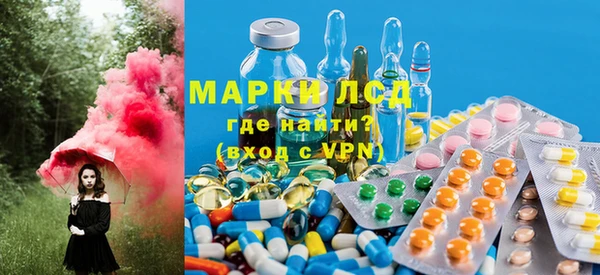 ПСИЛОЦИБИНОВЫЕ ГРИБЫ Алексин