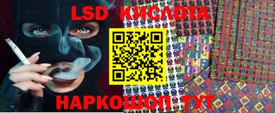 mdpv Краснознаменск