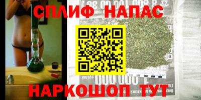 mdpv Краснознаменск