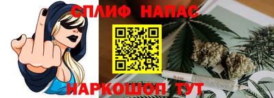 mdpv Краснознаменск