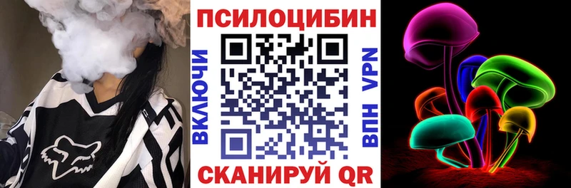 Псилоцибиновые грибы мицелий  Сыктывкар 