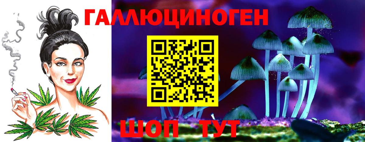 Галлюциногенные грибы Psilocybine cubensis  Вход с VPN  Сыктывкар 